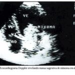 Imagem 1 da galeria