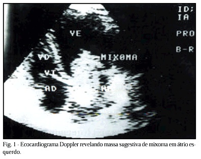Imagem 1 da galeria