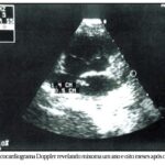 Imagem 3 da galeria