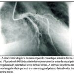 Imagem 3 da galeria