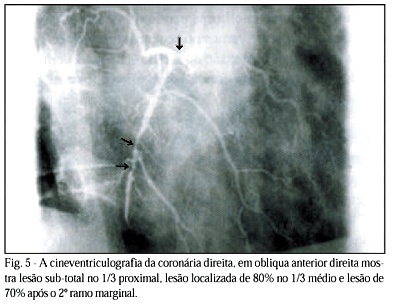 Imagem 5 da galeria
