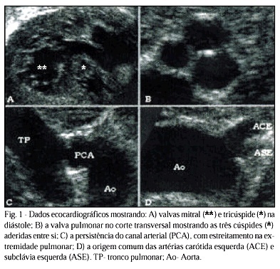 Imagem 1 da galeria