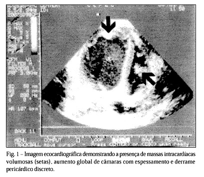 Imagem 1 da galeria