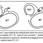 Imagem 1 da galeria