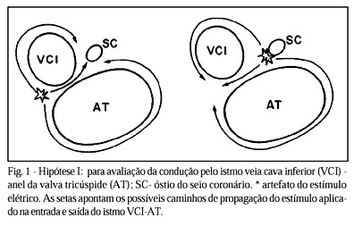 Imagem 1 da galeria