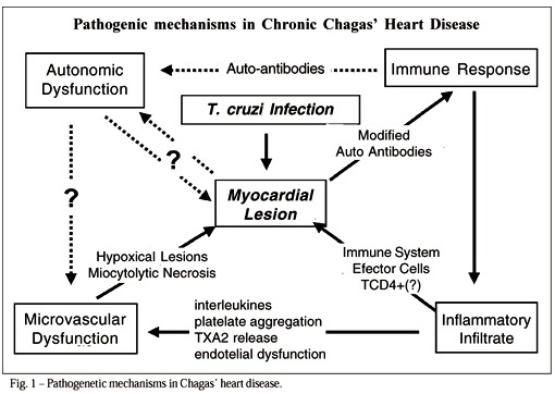 Chagas' heart disease