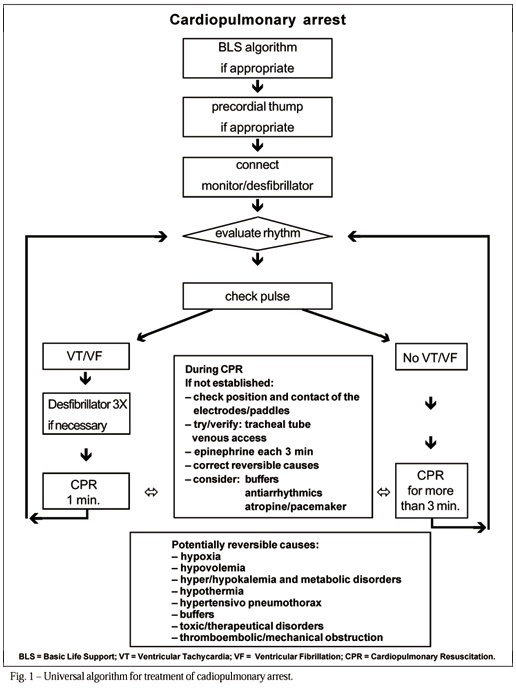 Cardiopulmonary resuscitation: update, controversies and new advances