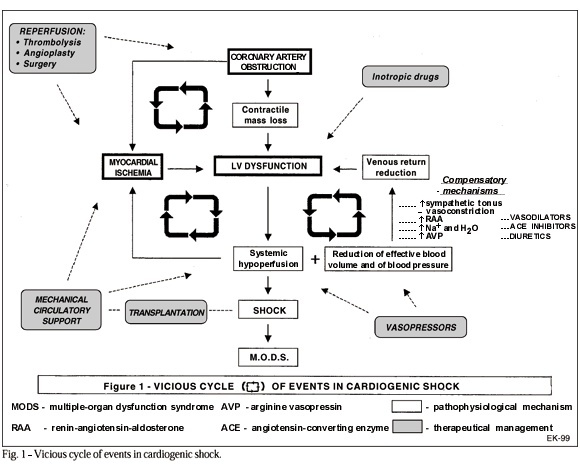 Cardiogenic shock