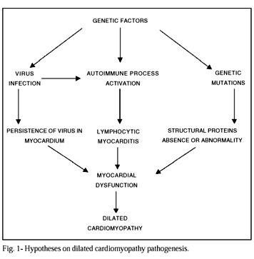 Cellular and biomolecular mechanisms in dilated cardiomyopathy