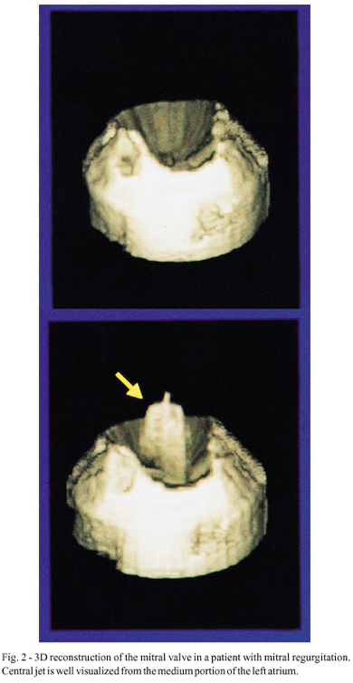 Gallery image 2