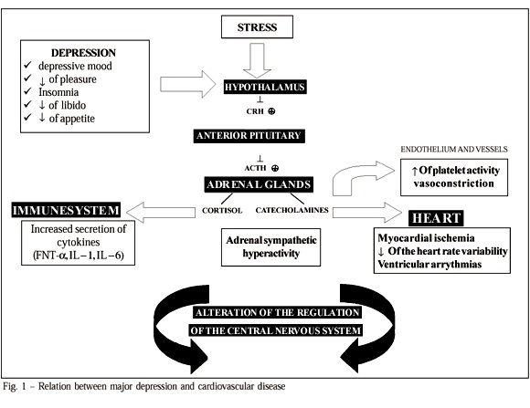 The role of depression in coronary artery disease