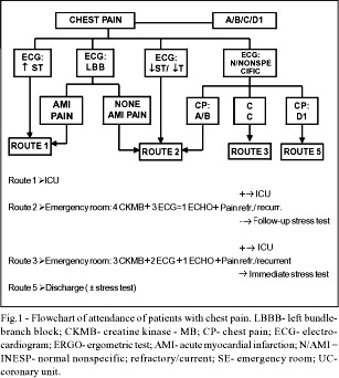 Chest pain in the emergency room. Importance of a systematic approach