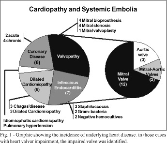 Peripheral arterial embolism. Report of hospitalized cases