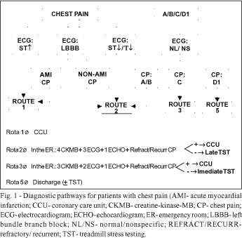 Efficacy of a diagnostic strategy for patients with chest pain and no ST-segment elevation in the emergency room