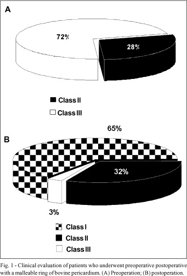 Mitral valve repair with a malleable bovine pericardium ring