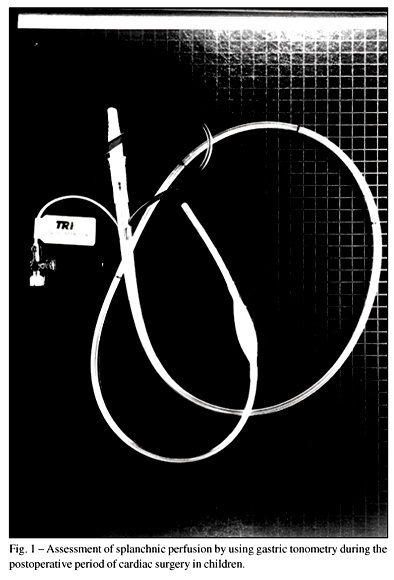 Assessment of splanchnic perfusion with gastric tonometry in the immediate postoperative period of cardiac surgery in children