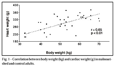 Heart Weight and Heart Weight/Body Weight Coefficient in Malnourished Adults