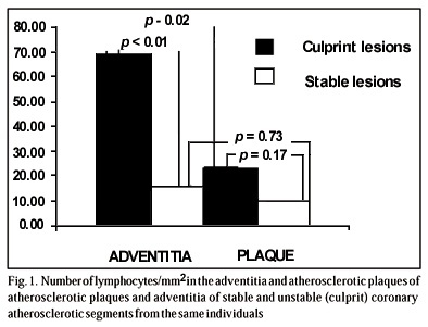 Comparison between Adventitial and Intimal Inflammation of Ruptured and Nonruptured Atherosclerotic Plaques in Human Coronary Arteries