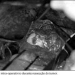 Imagem 2 da galeria