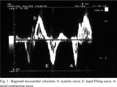 Regional myocardial function in healthy adults: assessment through tissue Doppler echocardiography