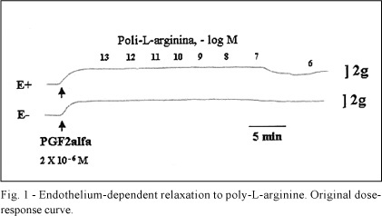 Endothelium-dependent relaxation in response to poly-L-arginine in canine coronary arteries: implications about hyperpolarization as a mechanism of vasodilatation