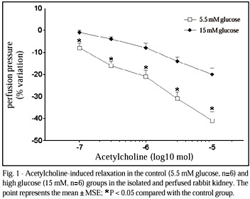 Effects of high glucose concentrations on the endothelial function of the renal microcirculation of rabbits