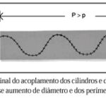 Imagem 5 da galeria