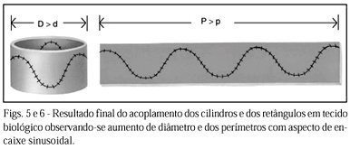 Imagem 5 da galeria