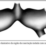Imagem 6 da galeria