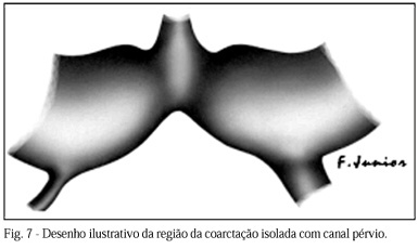 Imagem 6 da galeria