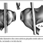 Imagem 7 da galeria