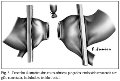 Imagem 7 da galeria