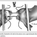 Imagem 9 da galeria