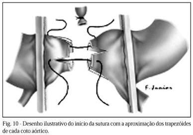 Imagem 9 da galeria