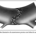 Imagem 10 da galeria
