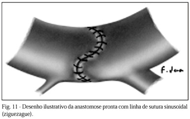 Imagem 10 da galeria