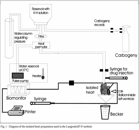 Effects of propafenone associated with propofol on myocardial contractility, heart rate, coronary flow, and the incidence of arrhythmia in isolated hearts of rats