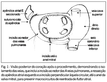 Imagem 1 da galeria