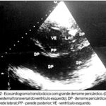 Imagem 2 da galeria