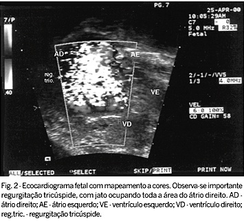 Imagem 2 da galeria