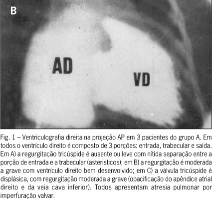 Imagem 2 da galeria