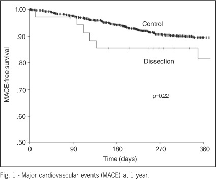 Clinical meaning of uncomplicated coronary dissections after stent implantation