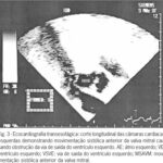 Imagem 3 da galeria