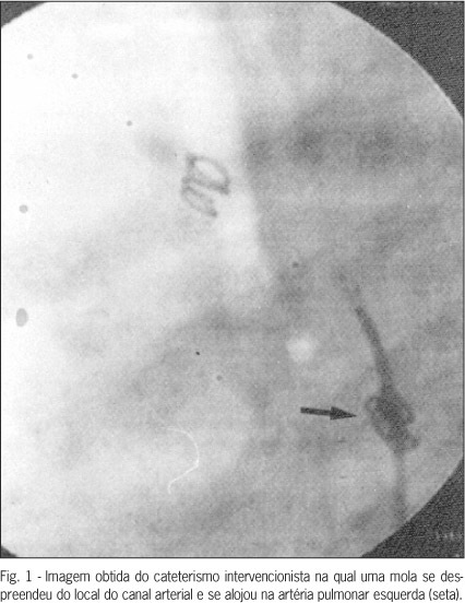 Imagem 1 da galeria