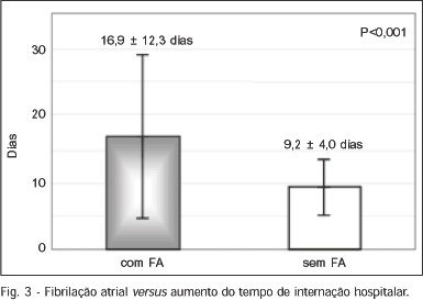 Imagem 3 da galeria