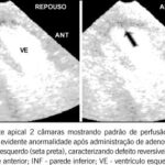 Imagem 2 da galeria