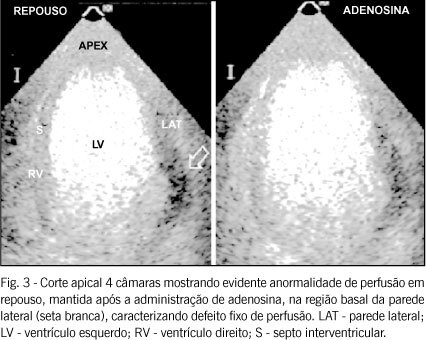 Imagem 3 da galeria