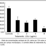 Imagem 1 da galeria