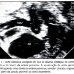 Imagem 1 da galeria