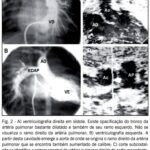 Imagem 2 da galeria